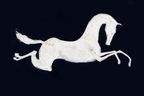 ARBYNART Americana Art | White Horse as a Silhouette