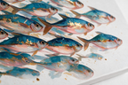 ARBYNART Abstract Art | Gilded Shoal in Motion