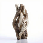 ARBYNART Interwoven Roots Wood Sculpture